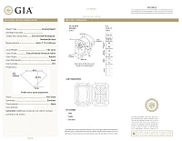 Украшение GIA  Серьги с бриллиантами 3,01/3,02 ct. FBGY/VS1-Si1   