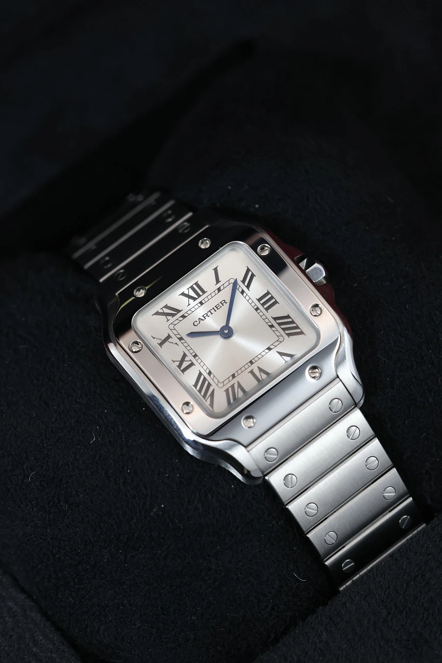 Часы Cartier  Santos De Cartier Small Model Silver Dial  WSSA0082