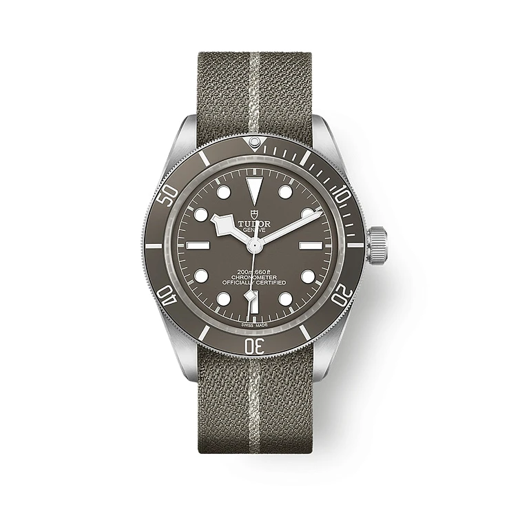 Часы Tudor  Black Bay Fifty Eight  79010SG