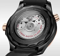 Заказать Omega  Seamaster Diver 300 M Co-Axial Master Chronometer  210.62.44.20.01.001