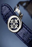 Заказать Patek Philippe  Grand Complications  5370P-011