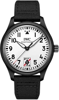 Заказать Iwc  Pilots Watch Automatic 41 Black Aces  IW326905