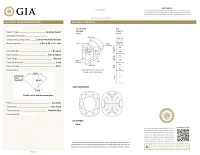 Украшение GIA  Серьги 1,03/1,03 ct. Fancy Yellow   