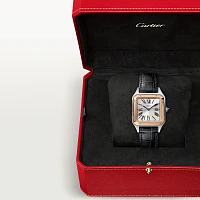 Заказать Cartier  Santos-Dumont  W2SA0012