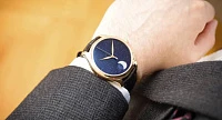 Заказать H. Moser &amp; Cie  H. Moser &amp; Cie Endeavour Perpetual Moon  1801-0402