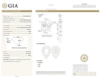 Украшение GIA  Кольцо с бриллиантом 3,21 ct. FLGY/VS2   