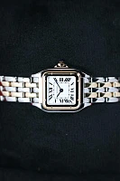 Часы Cartier  Panthere De Cartier Small Steel And Yellow Gold  W2PN0018