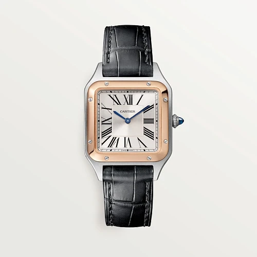 Заказать Cartier  Santos-Dumont  W2SA0012