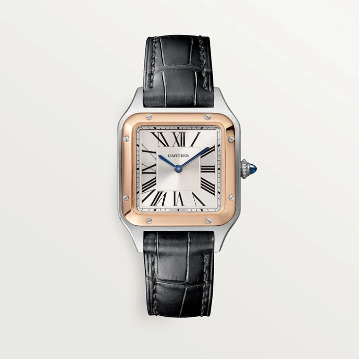 Заказать Cartier  Santos-Dumont  W2SA0012