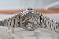 Заказать   Antarctique Titanium  Dark Sector Full Silver
