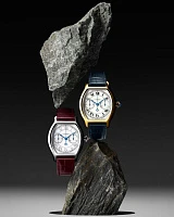 Заказать Cartier  Prive Tortue Monopoussoir  WHTO0007