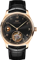 Заказать Iwc  Portugieser Hand-Wound Tourbillon Day &amp; Night  IW545901
