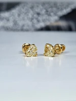 Украшение GIA  Серьги с бриллиантами 1,00/1,01 ct. (Heart Diamonds)   