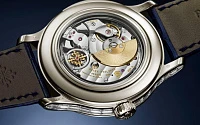 Заказать Patek Philippe  Complications  5374/300P-001