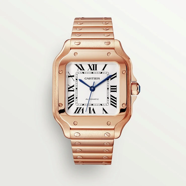 Заказать Cartier  Santos  WGSA0031
