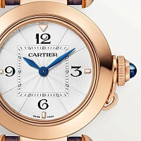 Заказать Cartier  Pasha De  WGPA0018