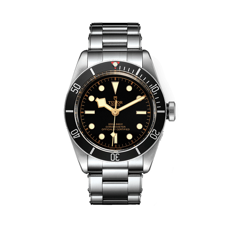 Часы Tudor  Black Bay  79230N