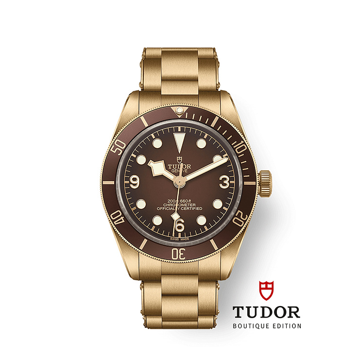 Часы Tudor  Black Bay 58 Bronze  M79012M-0001