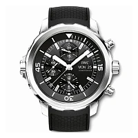 Заказать Iwc  Aquatimer  IW376803