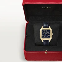 Заказать Cartier  Santos-Dumont Watch  WGSA0077