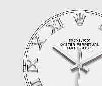 Заказать Rolex  Datejust 41  m126334-0023