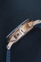 Часы Panerai  Panerai Luminor Perpetual Calendar Goldtech Pam00742  PAM00742