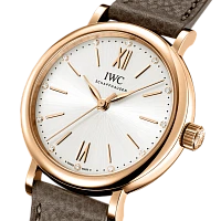 Заказать Iwc  Portofino Automatic 34  IW357414