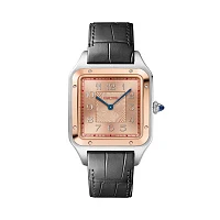 Часы Cartier  Santos Dumont Xl Certie Edition  W2SA0025