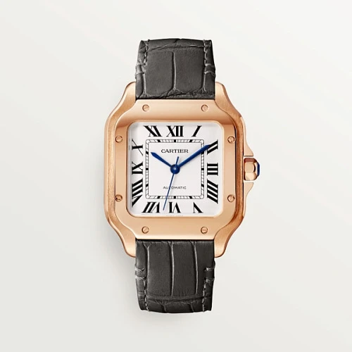 Заказать Cartier  Santos  WGSA0028