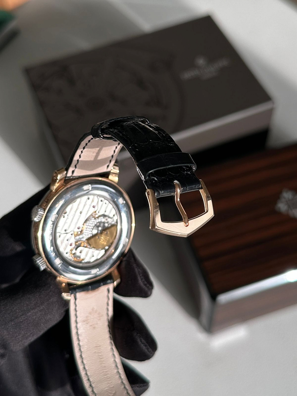Часы Patek Philippe  Sky Moon Celestial Grand Complication  5102PR-001