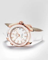 Заказать Omega  Seamaster Planet Ocean 600 M Co-Axial 42 Mm  232.63.42.21.04.001