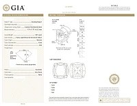 Украшение GIA  Кольцо с бриллиантом 3,01 ct. FLBGY/VS2   