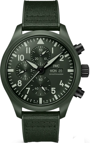 Заказать Iwc  Pilots Watch Chronograph 41 Top Gun Edition Woodland  IW389106