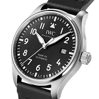 Заказать Iwc  Pilots Watch Mark Xx  IW328201