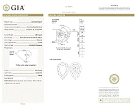 Украшение GIA  Колье 2,01 ct. Fancy Brownish Greenish Yellow/Internally Flawless   