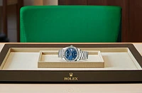 Заказать Rolex  Day-Date 40  M228239-0007