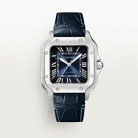 Часы Cartier  De Santos Medium Blue  WSSA0063