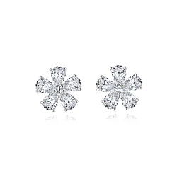 GIA Серьги с бриллиантами 5,00 ct. F/VS1