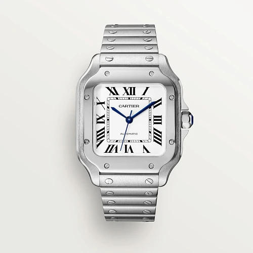 Заказать Cartier  Santos  WSSA0029